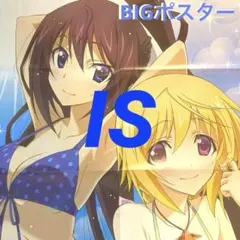 未使用】アニメグラフ IS インフィニット・ストラトス 2 - メルカリ