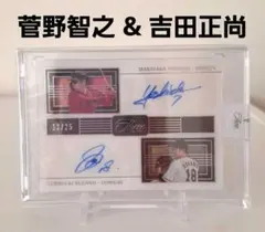 Item thumbnail for item acd39c6b-250b-4648-8952-7b4239e698b9