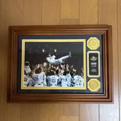 Item thumbnail for item 479f928e-13f3-4f4e-be30-9f3a2c96ff73