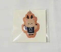 RIIZE ランダムトイ PVCチャーム めじるし ウラッバム ソンチャン