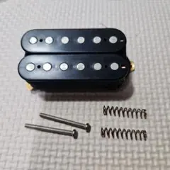 Fernandes ZO-3 純正ピックアップ