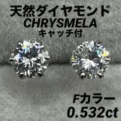 DカラーEX】中央宝石研究所グレーディング0.517ct プラチナピアス