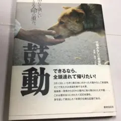 鼓動 感じて欲しい小さな命の重み。　中古