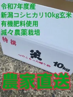 農家直送 有機肥料使用 減々農薬栽培 令和7年新潟県産コシヒカリ 10kg