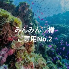 みんみん♡様ご専用ページNo.2