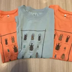 モンベル　mont-bell 昆虫デザイン Tシャツ 140cm 3枚
