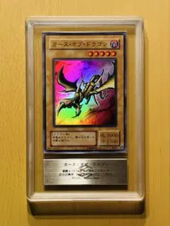 遊戯王 vol.2 PSA8 カースオブドラゴン 光の護封剣 ウルトラレア 初期