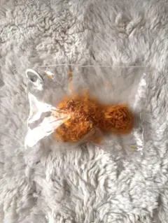 フライドチキン サクサクスクイーズ