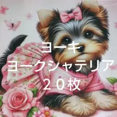 NO.15 パネル生地20枚 ☆ヨークシャテリア、ヨーキー