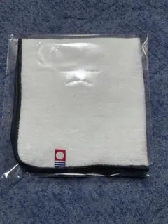 Item thumbnail for item c6562948-c20d-472d-8276-7e6cfa25dfb8