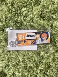 Item thumbnail for item 3794a23b-dba1-49e3-9471-d7f791269c32