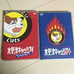 嵐/櫻井翔/木更津キャッツアイ日本シリーズ/ワールドシリーズ