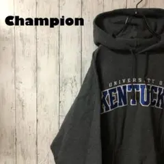 激レア チャンピオン 刺繍 カレッジロゴ レアカラー スウェット パーカー L