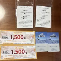 スキージャム勝山 リフト券 食事券 2セット