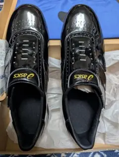 Item thumbnail for item 4d8189d5-5f70-45d7-9943-40383023c43f