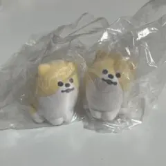じゅんのなにもわかってない〜ぬ ポメラニアン２つ
