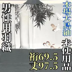 Item thumbnail for item 62afd776-afaa-43c2-8d76-3ff05f8d7249