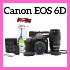 ✨スポーツ観戦に✨CANON EOS 60D✨ダブルレンズ✨サクサク撮れる