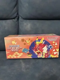 新品 未開封 ポケモンセンター ヒロシマ スペシャルBOX