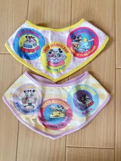 東京ディズニーリゾート スタイ2枚セット