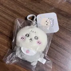 2025年最新】ラッコ ぬいぐるみ ちいかわの人気アイテム - メルカリ