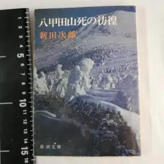 Item thumbnail for item 6ac0f16b-7881-41b7-a8f7-80e400f1c447