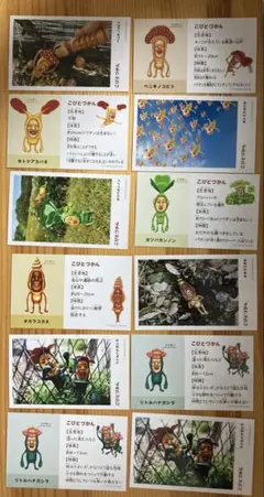 こびとづかん シークレットスマロイドまとめ売り