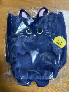 RIIZE FANLIGHTバック ウォンビン