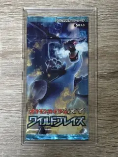 ポケモンカードゲームXY 拡張パック ワイルドブレイズ - メルカリ