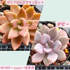 MIYABI〜sowon〜(プロフ必読)様 リクエスト 2点 まとめ商品