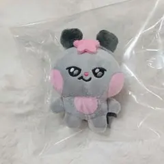 mighteez アイドル