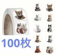 あかあかさん様 リクエスト 5点 まとめ商品