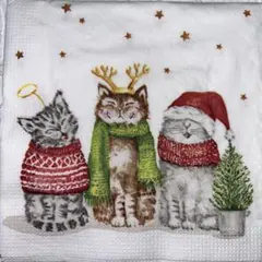 ꕤ︎︎·͜· Xmasカクテル犬ねこ1⑯・4枚セット