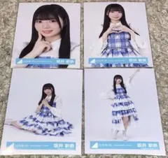 日向坂46 坂井新奈「6回目のひな誕祭」ライブ衣装 生写真 8枚 - メルカリ