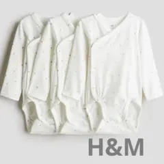 Item thumbnail for item 10b40659-0a65-4e14-a5df-35c31ab88d6d