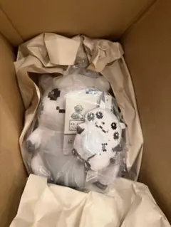 【2点セット】はじまりのピカチュウ　ぬいぐるみ　マスコット　ポケモンセンター限定