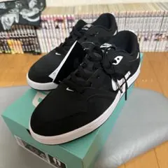 NIKE SB ALLEYOOP アリウープ 25.5cm