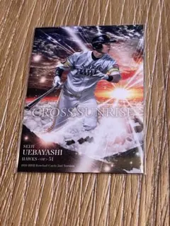 Item thumbnail for item 1223d30c-73ef-42f6-94b9-db50373ed553