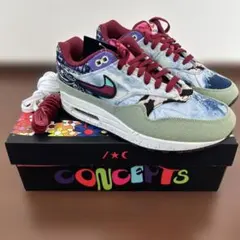 t*e様 NikeAirMax1 × concepts\"mellow\" Nike x Concepts Air Max 1 