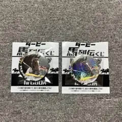 ダービー馬列伝くじ　スペシャルウィーク　缶バッジ　ノーマル　ホログラム