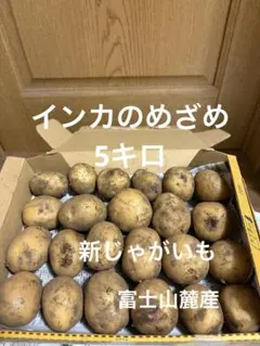 インカのめざめ　新じゃがいも　5キロ 富士山麓産のサムネイル