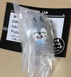 Straykids SKZOO ガチャ めじるしアクセサリー ウルフチャン