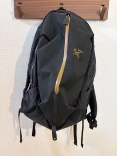 希少 美品 アークテリクス Arro 22 NEREUS 廃盤 - メルカリ