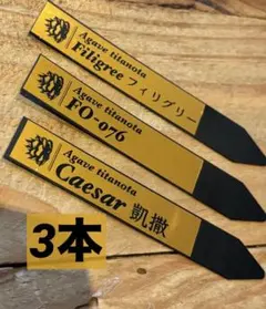 3本　プランツタグ　園芸ラベル　アガベ　チタノタ　白鯨　黒鯨　ハデス　シーザー