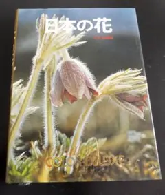 Item thumbnail for item 42b3b482-dd0c-4a48-ae69-23ac3070760a