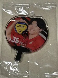 水町泰杜 バレーボール男子 日本代表 うちわ アクリルチャーム ガチャガチャ