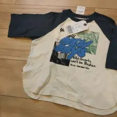 ラグラン トップス