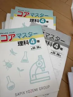 中学校受験サピックスメソッド名進研コアマスター 4教科4・5年丸2年分大量 2026年最新】名進研 コアマスターの人気アイテム - メルカリ