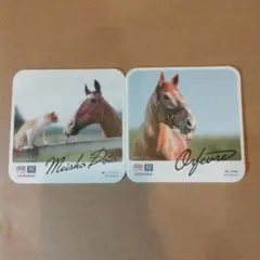 オルフェーヴル・メイショウドトウ HUB 競走馬コラボ コースター