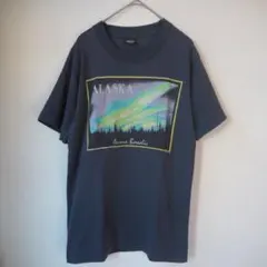 【USA製/シングル】80s 90s スクリーンスターズ アラスカ Tシャツ Sのサムネイル